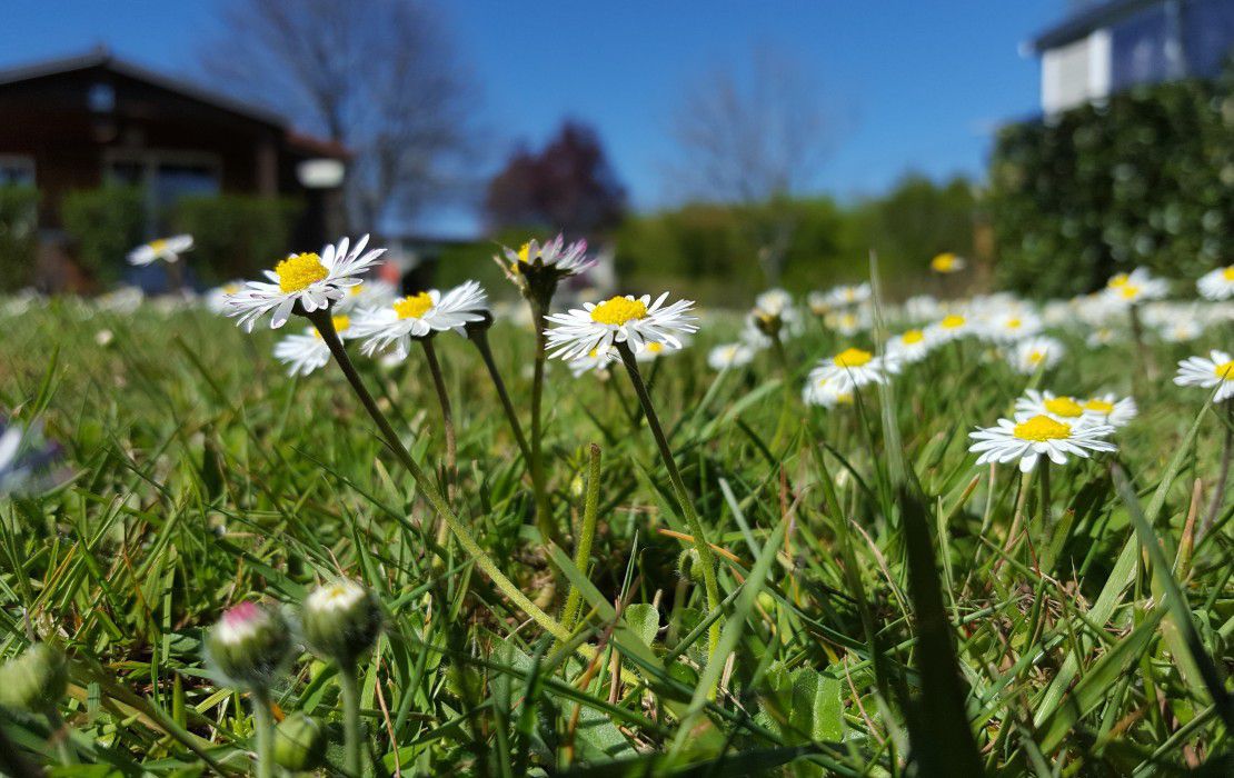 camping perche